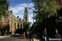 Ү³��ѧ-��ͳ��ҡ��[ͼ��]