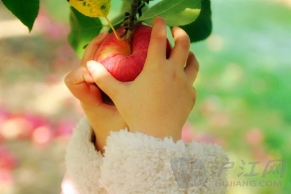 ȥ����ժƻ��